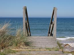 What the Hell is&nbsp;Water…?