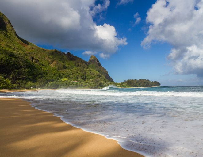 Reads for slight inebriation and water. Top 10 summer&nbsp;reads