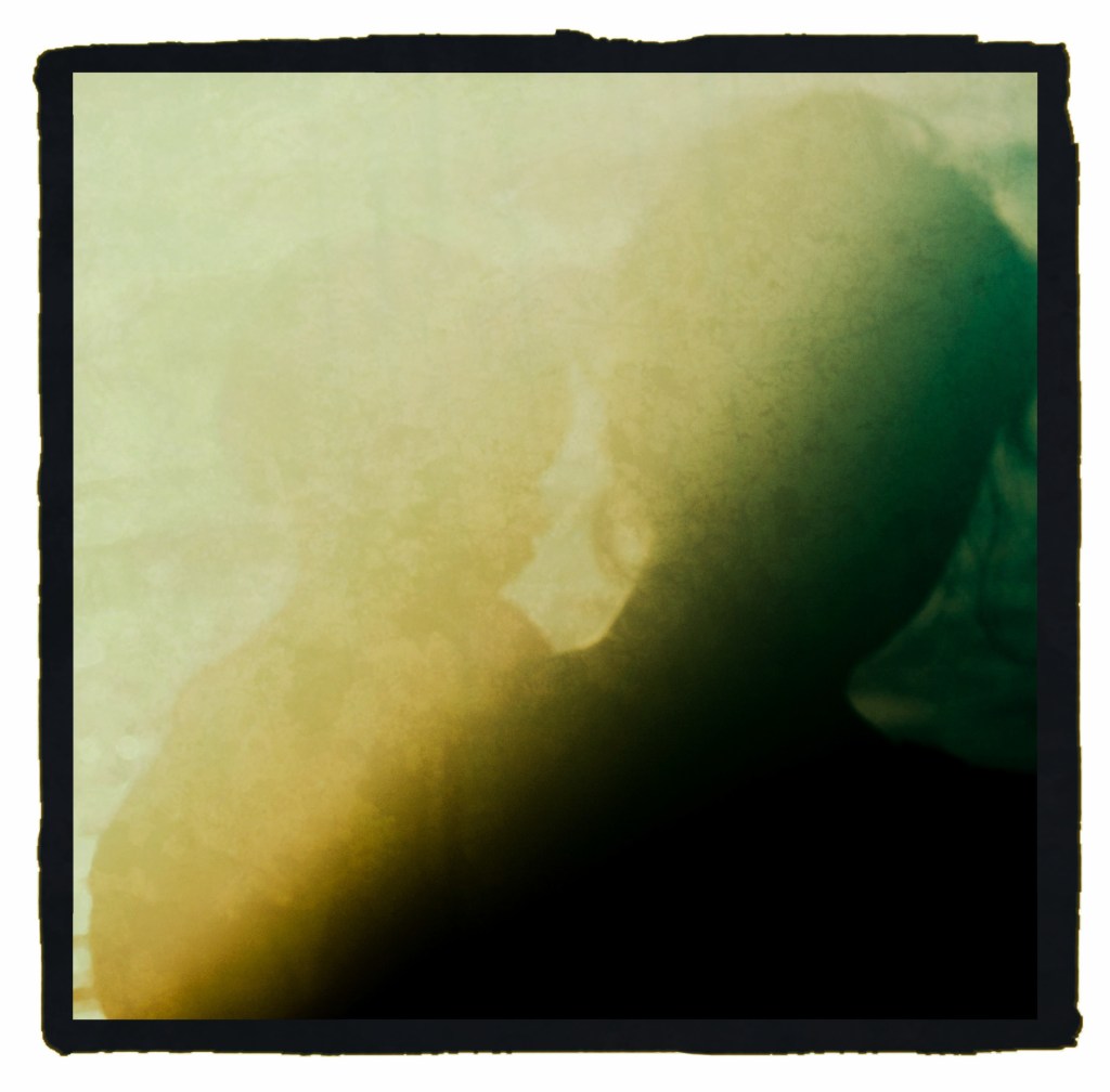 A sneak peek from the latest installment of The Pool&nbsp;series